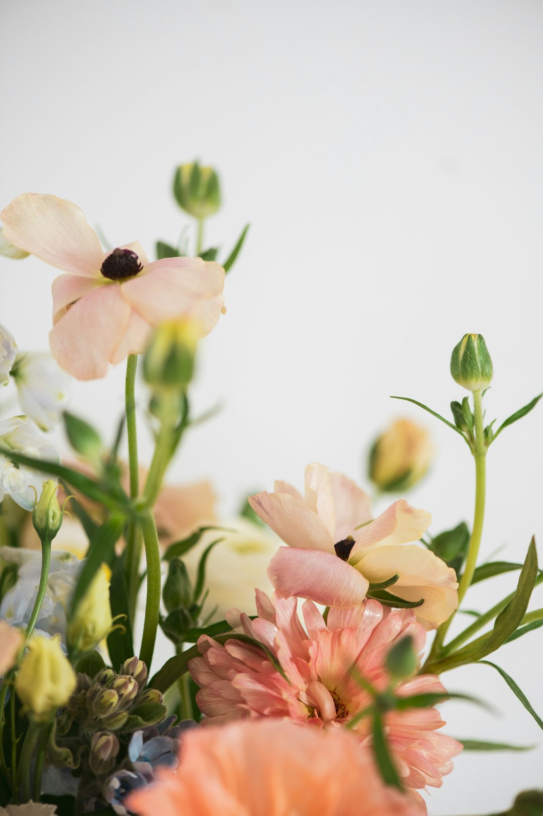 Wild flower arrangement in spring colours